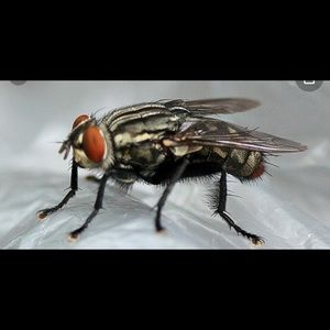 Meet your Posher, Keith